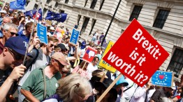 people's vote anti-brexit peoples vote