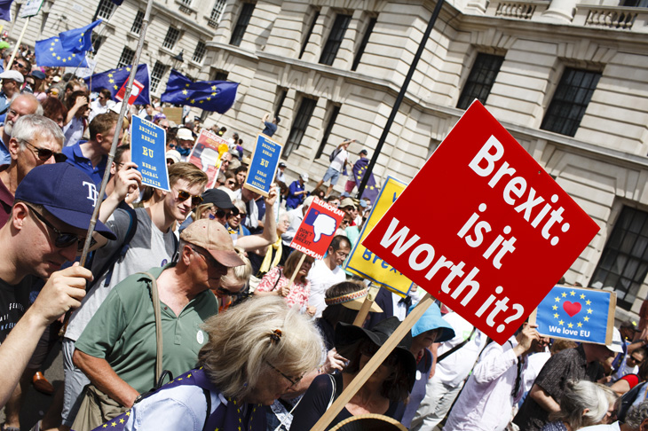 people's vote anti-brexit peoples vote