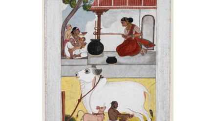 dairy Milk! A 10,000 Year Food Fracas by Mark Kurlansky reviewed