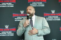 wwe triple h wrestling