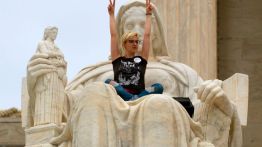 protester justice democratic death wish