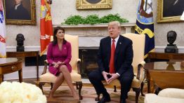 nikki haley