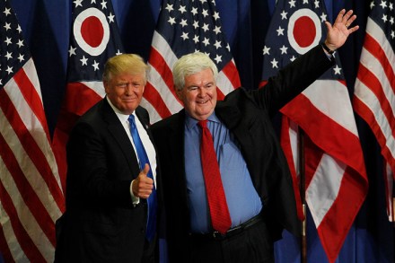 political entrepreneur donald trump newt gingrich