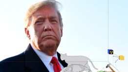 donald trump quantum president