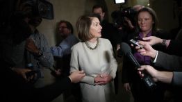 nancy pelosi shutdown