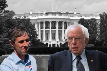 bernie beto