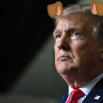 dognald trump dogphobia dog