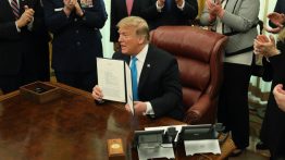 donald trump collusion