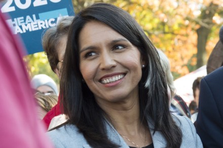 tulsi gabbard 2024
