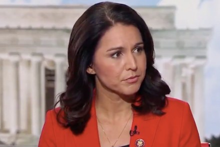 tulsi gabbard