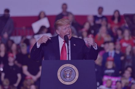 purple dog republican