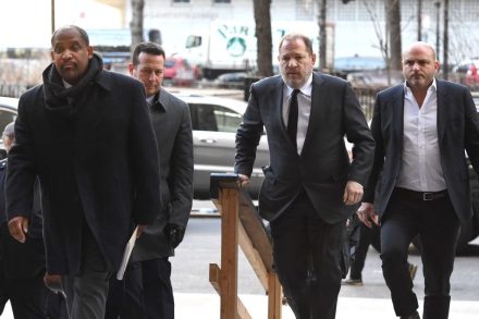 harvey weinstein guilty harvard