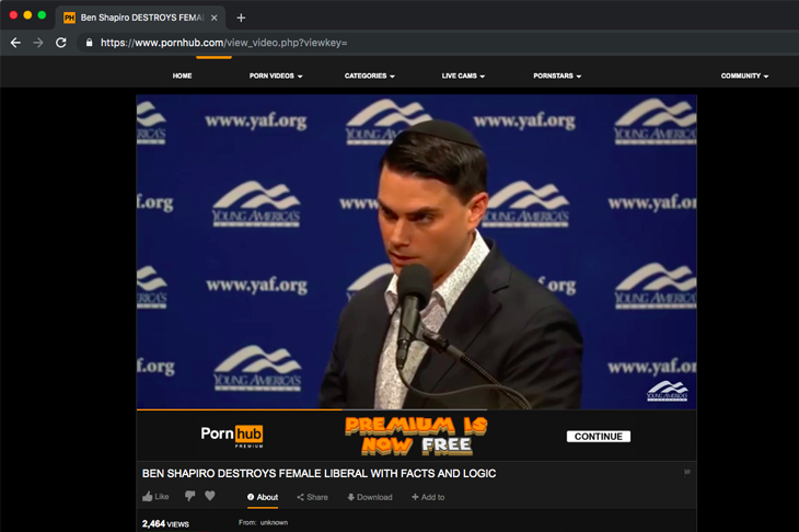 ben shapiro porn
