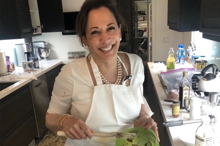 kamala harris jerk chicken