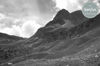 butterfly naxi apennines