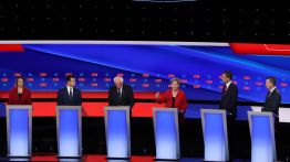 stillborn revolution