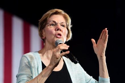 elizabeth warren consultant