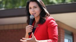 tulsi gabbard