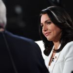 msnbc tulsi gabbard