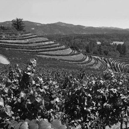 pax mahle california