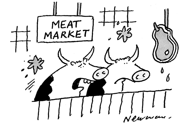 I Hope This Doesnt Degenerate Into An Elite City Charity Gala