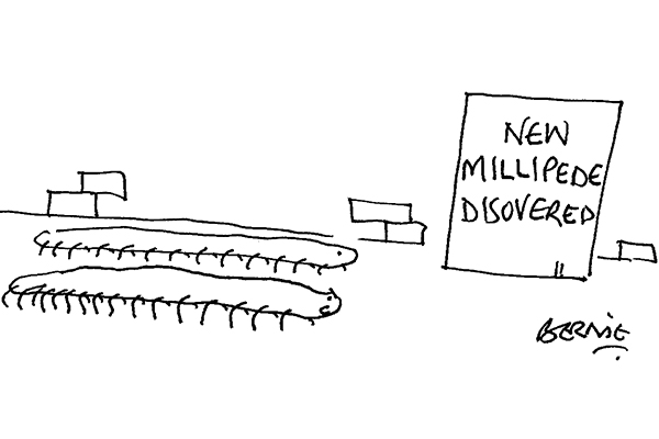 All They Ever Do Is Go On About Our Legs