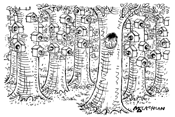 Bloody Social Birdboxes