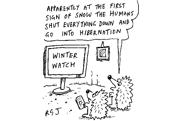 Winter Watch
