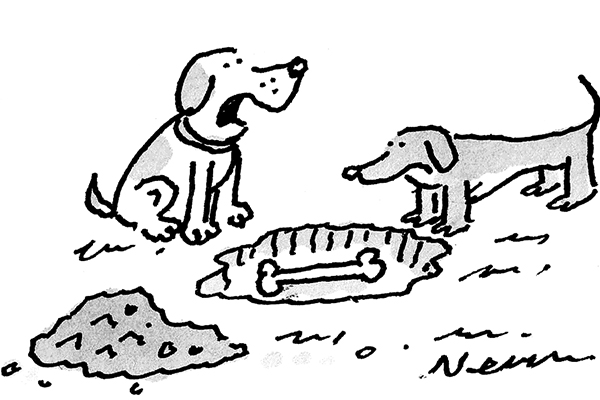 Its Safer Than Putting It In Tsb