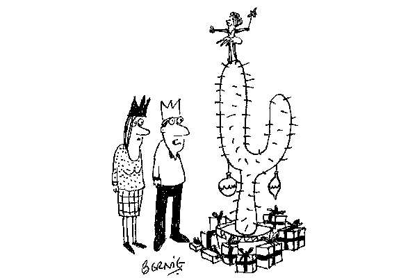 The Hot Dry Summer Has Certainlyaffected The Trees This Year