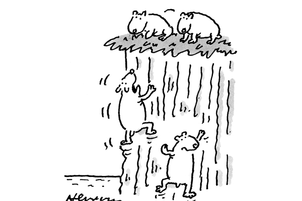 Rather Than The Cliff Edge We Decided On A Climbdown