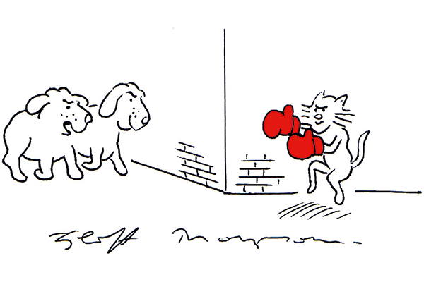 Apparently The Cats Been Declawed