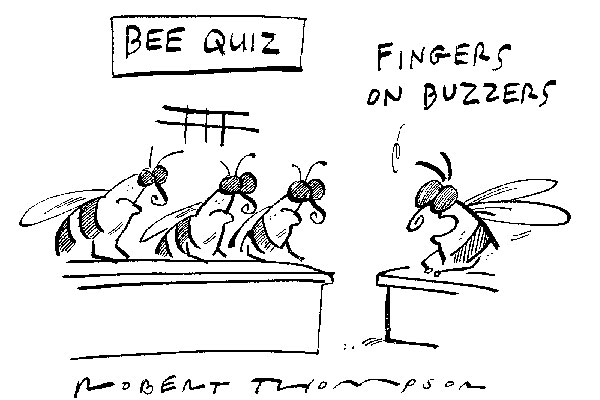 Bee Quiz