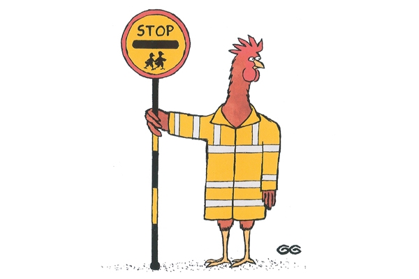 The Chicken That Helps Other People Cross The Road