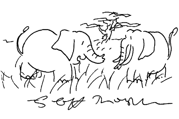 Elephants 2