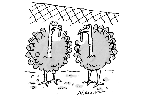 Forget The Coup They Dont Work