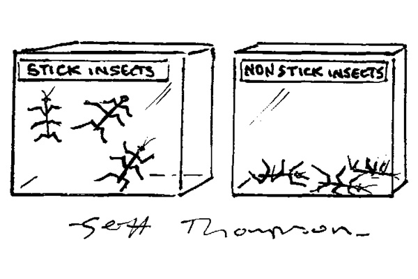 Insects