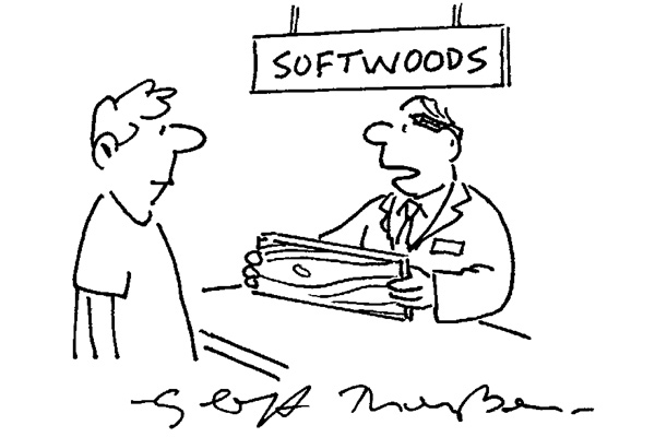 Softwoods