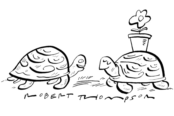 Tortoises