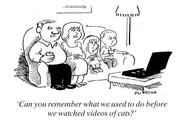 CatVideos