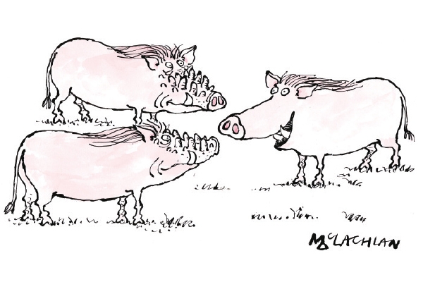 Legacy: Botox | 10 March 2016