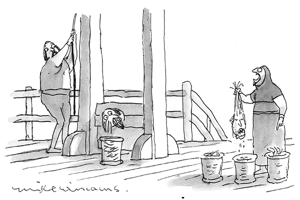 How Many Times Have I Told You Blondes In The Grey Basket Gingers In The Brown