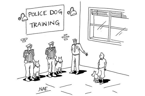 Todays Guest Dog Is Someone Whos Had Lots Of Experience In Tackling And Apprehending Assailants