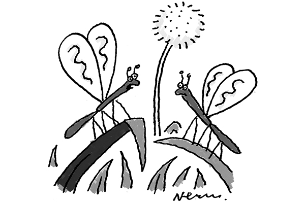 I didn’t expect Dominic Cummings to survive the day