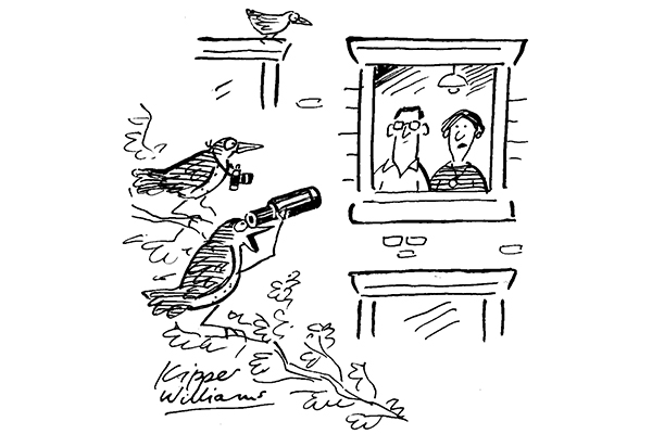 Then lockdown happened and I started getting interested in them