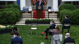 trump insults asian americans