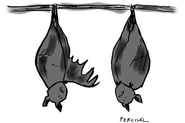 People can make up their minds