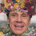 midsommar cuomo