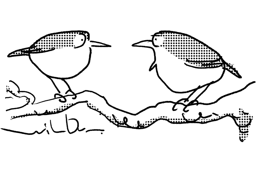 Best tweet as little as possible