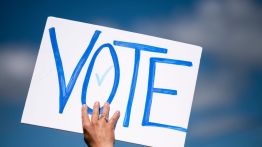 vote
